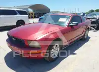 2006 Ford MUSTANG фото