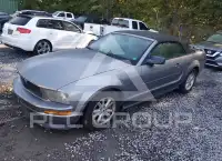 2006 Ford MUSTANG фото