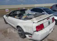 2006 Ford MUSTANG фото