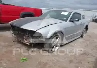2006 Ford MUSTANG фото