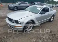 2006 Ford MUSTANG photo