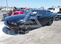 2006 Ford MUSTANG photo