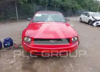 2006 Ford MUSTANG фото