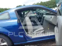 2006 Ford MUSTANG фото