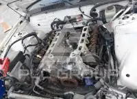 2006 Ford MUSTANG photo