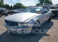 2006 Ford MUSTANG фото