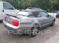 2006 Ford MUSTANG photo