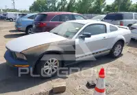 2006 Ford MUSTANG photo