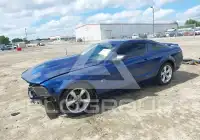 2006 Ford MUSTANG фото