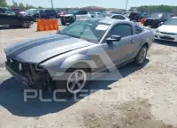 2006 Ford MUSTANG фото