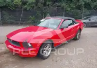 2006 Ford MUSTANG фото