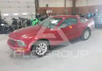 2006 Ford MUSTANG фото