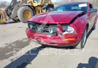 2006 Ford MUSTANG фото