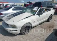2006 Ford MUSTANG фото