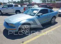 2006 Ford MUSTANG фото