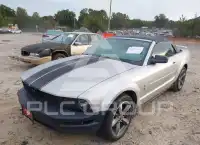 2006 Ford MUSTANG фото