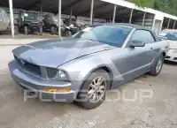 2006 Ford MUSTANG photo
