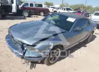 2006 Ford MUSTANG фото