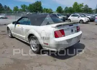 2006 Ford MUSTANG фото