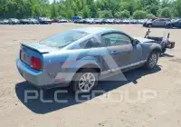 2006 Ford MUSTANG фото