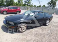 2006 Ford MUSTANG photo