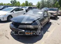 2006 Ford MUSTANG фото