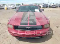 2006 Ford MUSTANG фото
