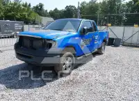 2006 Ford F-150 photo