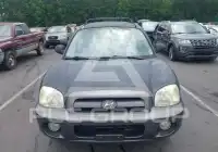 2006 Hyundai Santa Fe photo