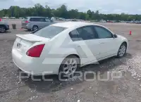 2007 Nissan MAXIMA фото