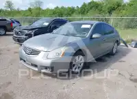 2007 Nissan MAXIMA фото