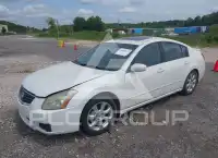 2007 Nissan MAXIMA фото