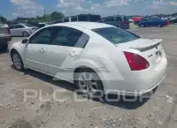2007 Nissan MAXIMA фото