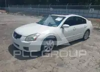 2007 Nissan MAXIMA фото