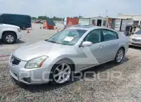 2007 Nissan MAXIMA фото