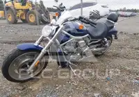 2007 Harley-Davidson VRSCA photo