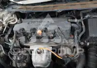 2007 Honda CIVIC фото