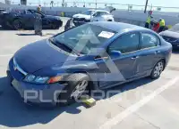 2007 Honda CIVIC фото