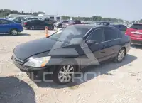 2007 Honda Accord photo