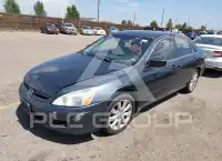 2007 Honda Accord фото