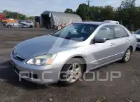 2007 Honda Accord фото