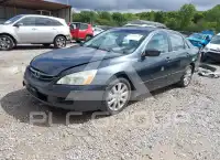 2007 Honda Accord photo