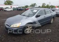 2007 Honda Accord фото