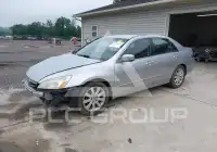 2007 Honda Accord photo