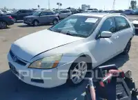 2007 Honda Accord фото