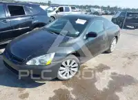 2007 Honda Accord photo
