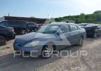 2007 Honda Accord фото