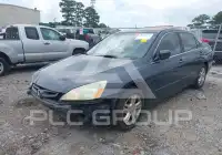 2007 Honda Accord photo