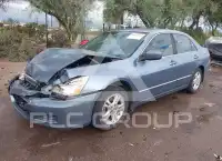 2007 Honda Accord фото