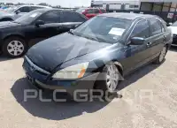 2007 Honda Accord photo